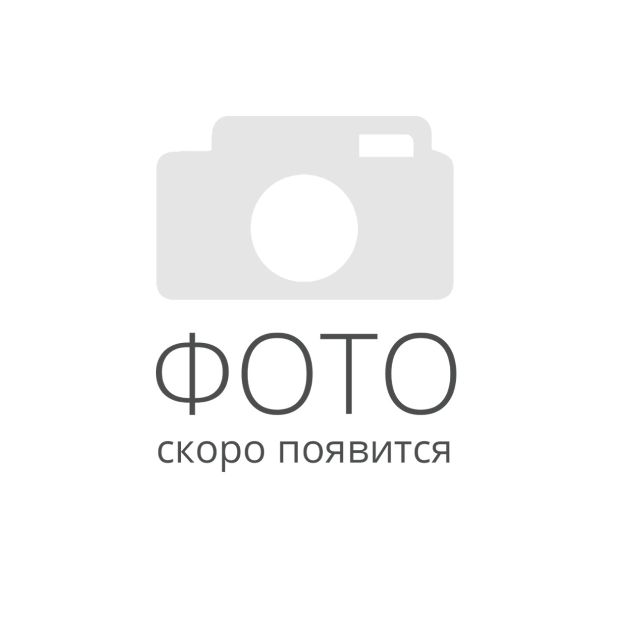 Холодильник Snaige RF58SM-S5DP2G0D91